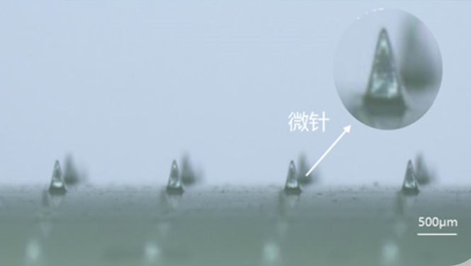 信号处理芯片产品展示，医疗信号处理集成电路，生物信号分析芯片